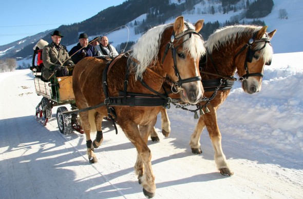 Winterlicher Pferdekutschenfahrt © Schladming-Dachstein_raffalt